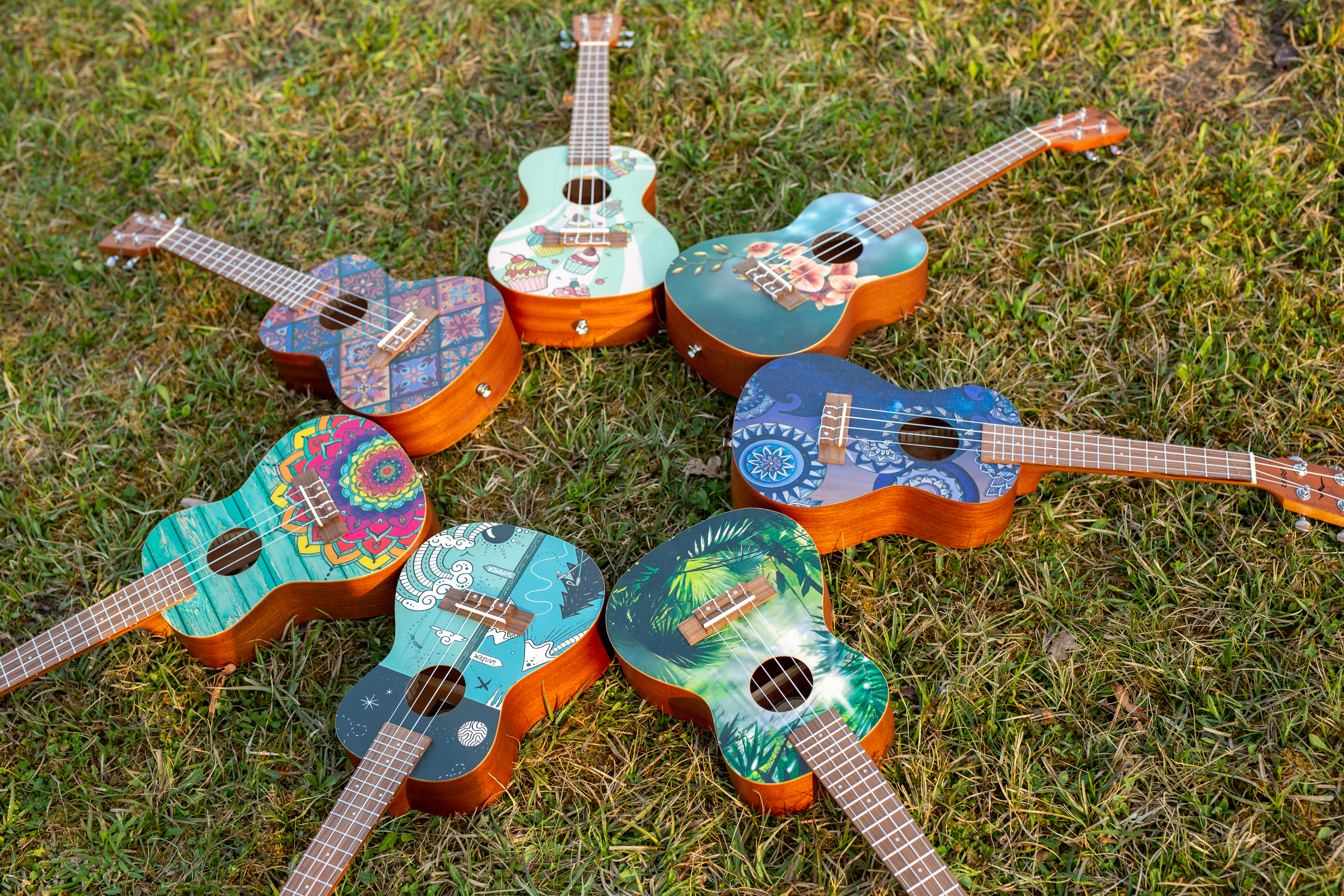 Ukulele rodzaje